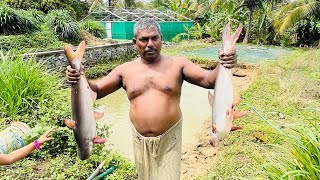 Meen pidikkamm fishingfyp fishing palakkadanfarmermnr love india kerala [upl. by Nifled929]