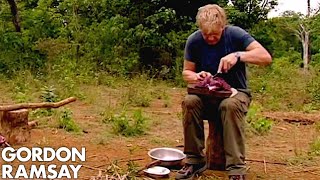 Gordon Ramsay Helps A Cambodian Tribe Butcher And Cook Buffalo  Gordons Great Escape [upl. by Asiat]