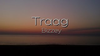 Traag  Bizzey lyrics [upl. by Euqinay]