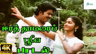 Eera Thamarai Poove  ஈர தாமரைப்பூவே  SPB Love Melody H D Song [upl. by Adena834]