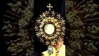 WATCH The Moment Jesus Enters the National Eucharistic Congress eucharisticrevival shorts ewtn [upl. by Publus]