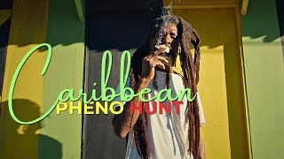 How Rastas reclaimed Antigua Pure Sativa Landrace Pheno Hunt with Humboldt Seed Company [upl. by Rayford]