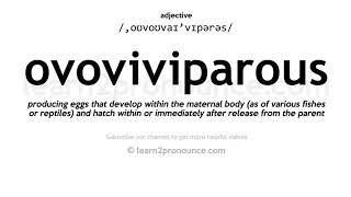 Pronunciation of Ovoviviparous  Definition of Ovoviviparous [upl. by Gladstone]