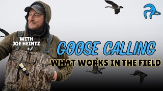 Joe Heintz Goose Calling What Works [upl. by Sauls]