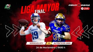 MÁXIMO AVANCE EN VIVO BORREGOS MONTERREY vs AUTÉNTICOS TIGRES  Liga Mayor FINAL ONEFA [upl. by Faxon]