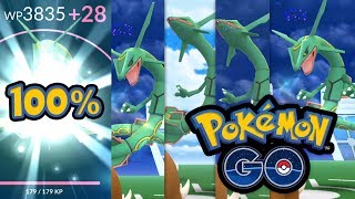 1 Tag 45 Raids und Niantic gönnt mir ein perfektes Rayquaza  Pokémon GO Deutsch 928 [upl. by Mayyahk]