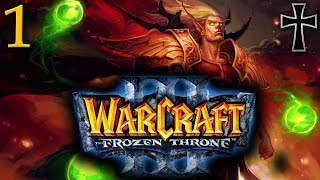 Warcraft III TFT  Azote de los elfos sanguinarios  Capítulo 1 quotErroresquot [upl. by Erdua285]