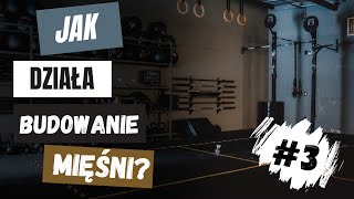 Co powoduje że mięśnie zaczynają rosnąć  Budowanie mięśni Ep 3 [upl. by Corvin]