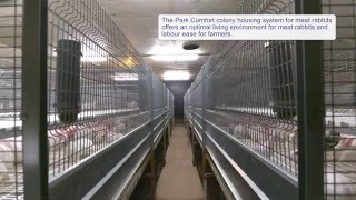 Park Comfort colony housing system for meat rabbits [upl. by Young]