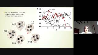 Teórico 5 Genética de Poblaciones 1de2 Flujo génico y estructura [upl. by Janeczka278]