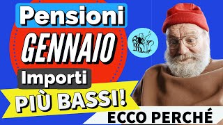 PENSIONI GENNAIO 2024 👉 IMPORTO PIÙ BASSO sul CEDOLINO❓ Ecco perché [upl. by Amsirahc]