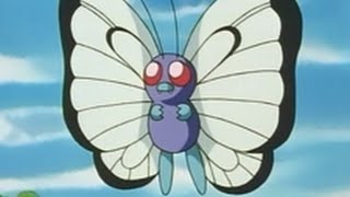 All Ashs Butterfree moves [upl. by Nirrep]