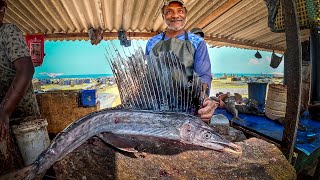 Sailfish Can Swim at the Speed of 109 Km  Indo Pacific 5kg Sailfish Fastest Fish Cutting Skills [upl. by Aivatnuhs]