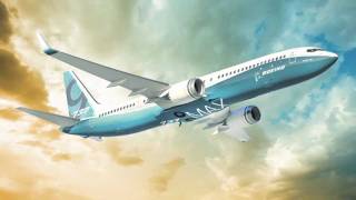 New Boeing 737 MAX [upl. by Cirted]