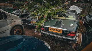 RARE Jaguar GRAVEYARD Bmw E30 Unreal Finds  IMSTOKZE [upl. by Lotti852]