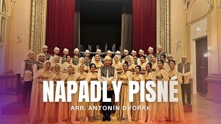 Napadly Písně Antonín Dvořák  Jakarta Youth Choir Praga Cantat 2023 [upl. by Amehsyt]