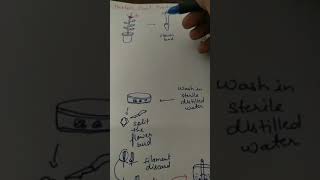 Haploid plant production Anther and pollen grain culture [upl. by Adnilema]