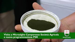 PSR Liguria Visita in azienda  Microalghe Camporosso Società agricola [upl. by Cerellia344]