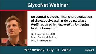 GlycoNet Webinar ft François Le Mauff Exopolysaccharide deacetylase for biofilm formation [upl. by Horodko]