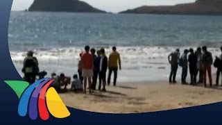 Fenómeno marino afecta a turistas en Mazatlán [upl. by Atiuqat]