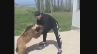 Khabib Nurmagomedov wrestling with a Bear [upl. by Nnaeirrac]