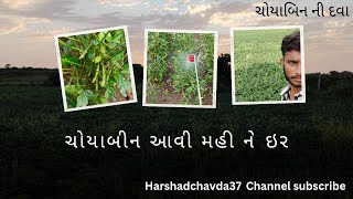 choyabin me dava 🌱✨choya video vlogvideo viralvlogs trending trend khetikhedut [upl. by Westland]