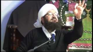 Mufti Ansar ul Qadri  Milad Bayan [upl. by Atteuqahs45]