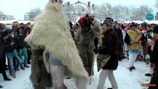 Capra si ursii datini si obiceiuri Goats and bears traditions and customs Piatra Neamt Romania [upl. by Sorac]