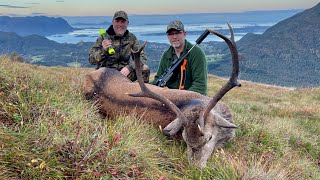 Hjortejakt i Møre og Romsdal Hunting red stag in Norway [upl. by Notsirb]