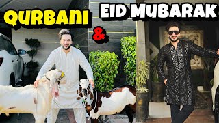 Eid Mubarak Special Facing the Heat at the Animal Mandi 🥵🔥 [upl. by Cirilo]