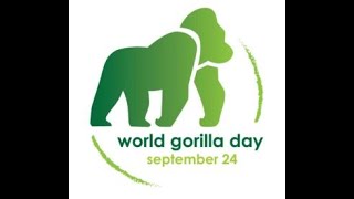 World Gorilla Day 2022 [upl. by Eatnhoj]