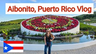 Reloj de Flores en Aibonito Puerto Rico Beer Garden Vlog Things to visit in Aibonitotravel vlog [upl. by Barmen]