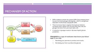 Tradjenta For the Treatment of Type II Diabetes [upl. by Vladamar]