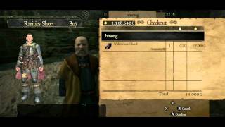 Dragon Dogma Where to buy cheap ferrystones and wakestone shard [upl. by Anairo616]