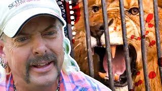 Joe Exotic  The DANGERS of Owning Wild Animals  Curious Natural World [upl. by Sutit]