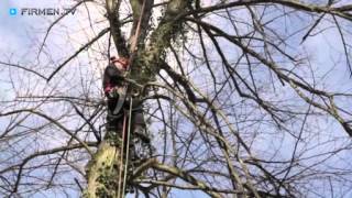 Riechmann Baumpflege in SchauenburgHoofKassel  Obstbaumschnitt Baum fällen Baumsanierung [upl. by Notyrb]