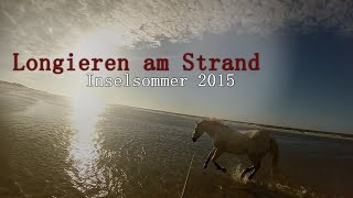 Longieren am Strand  Inselsommer 2015 [upl. by Jannelle685]