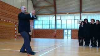 forme yang tai chi frapper les oreilles du tigrefranck ferriere [upl. by Annairoc537]