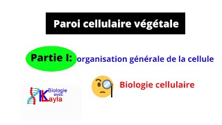 Paroi cellulaire végétale [upl. by Eicram]