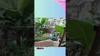 75M nego RCKG 1048064 Jakarta Timur rumahjakartatimurdijual rumahdijual rumah home [upl. by Ettenaj]