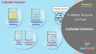 Matter Around Us Pure Class 9 Science  Colloidal Solution [upl. by Nedrob]