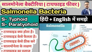 Salmonella Bacteria  Typhoid  Enteric Fever Typhoid Fever Paratyphoid Fever Widal Test in hindi [upl. by Aisela]