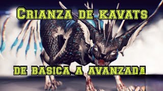 Guía Warframe 17 quotCrianza de Kavats de basico a avanzadoquot [upl. by Drofliw631]