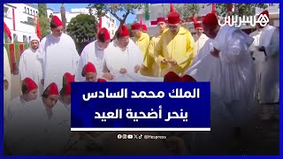 الملك محمد السادس ينحر أضحية العيد بمسجد الحسن الثاني في تطوان‎ [upl. by Gimpel708]