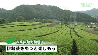 みえの魅力発信（伊勢茶をもっと楽しもう）【三重県公式広報番組 県政チャンネル 輝け！三重人】 [upl. by Bertrando]