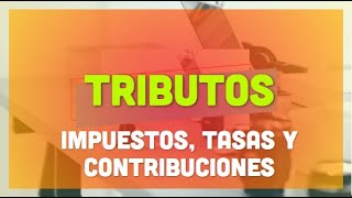 Tributos  Impuestos Tasas y Contribuciones [upl. by Lsil]