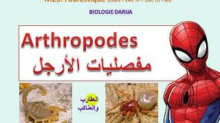 Arthropodeschélicérates sv3 مفصليات الأرجل [upl. by Alemrac923]