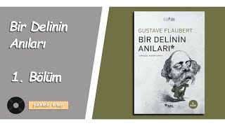 GUSTAVE FLAUBERT  BİR DELİNİN ANILARI  1 BÖLÜM [upl. by Simson]