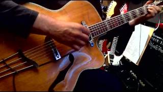 Rodebald Hoyer Jazzstar Jazz Guitar Jazzgitarre Archtop [upl. by Yoo]