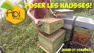 Tuto Quand et comment poser les hausses en apiculture [upl. by Shir138]